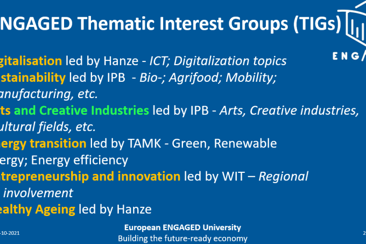 Researchers join forces in Thematic Interest Groups of European ENGAGED University