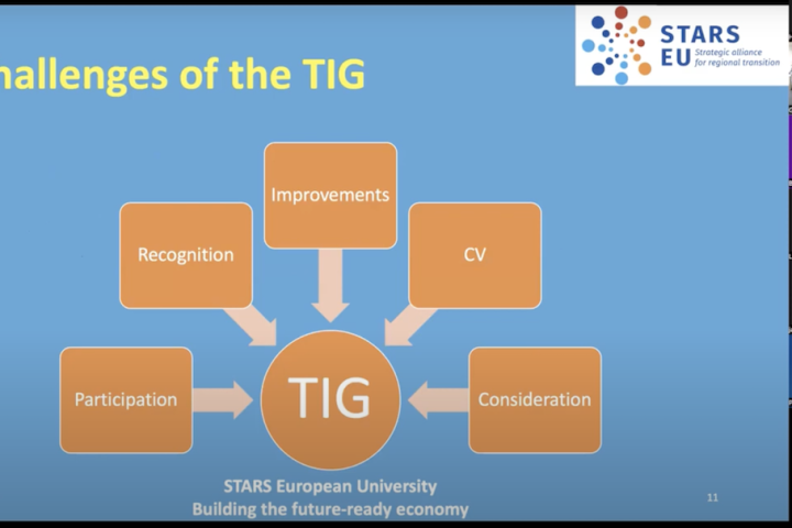 The third STARS EU TIG seminar addressed Energy Transition