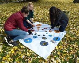 In the photo, the employees of the CUT's Marketing Department plant tulip bulbs; in the spring, the flowers will form the STARS EU logo/ photo by Jan Zych