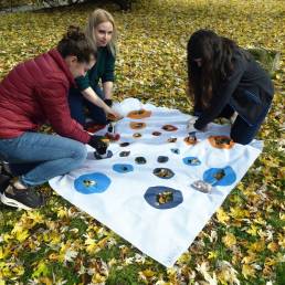 In the photo, the employees of the CUT's Marketing Department plant tulip bulbs; in the spring, the flowers will form the STARS EU logo/ photo by Jan Zych