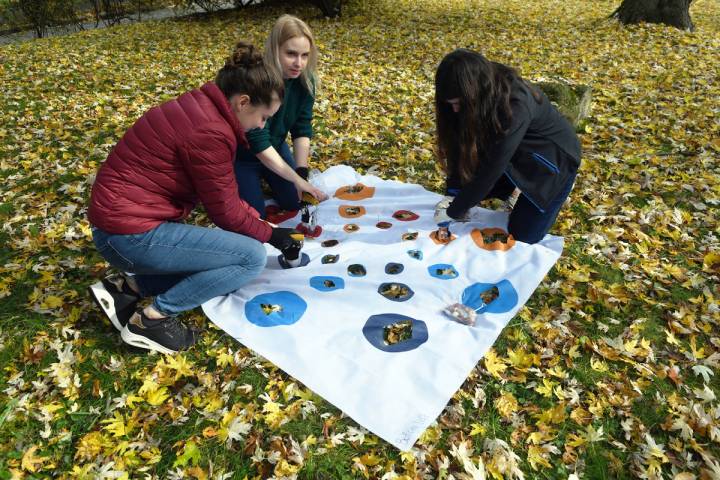 In the photo, the employees of the CUT's Marketing Department plant tulip bulbs; in the spring, the flowers will form the STARS EU logo/ photo by Jan Zych